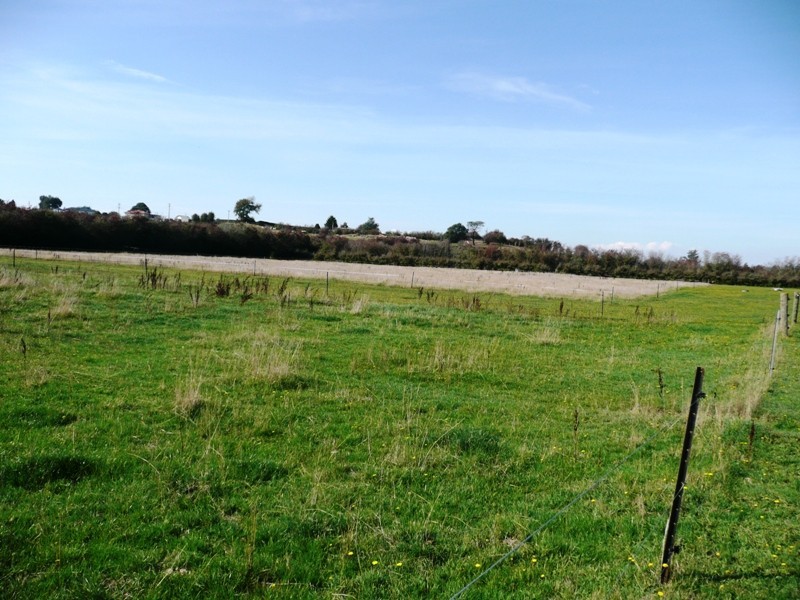 105 Mary Street, Westbury TAS 7303