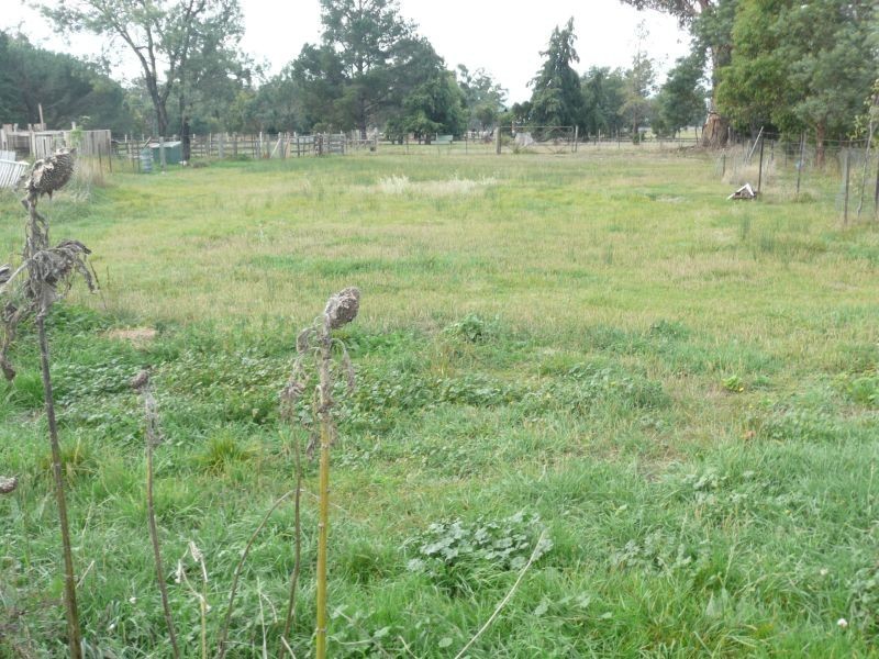 110 Conara Road, Conara TAS 7211