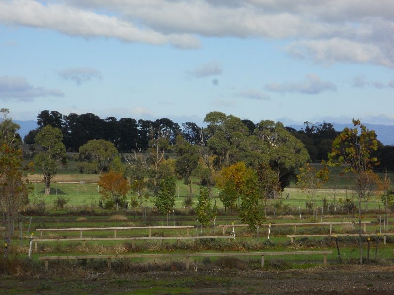 24 Logan Road, Evandale TAS 7212