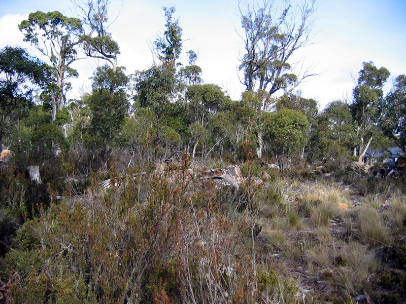 8 Trout Crescent, Miena TAS 7030