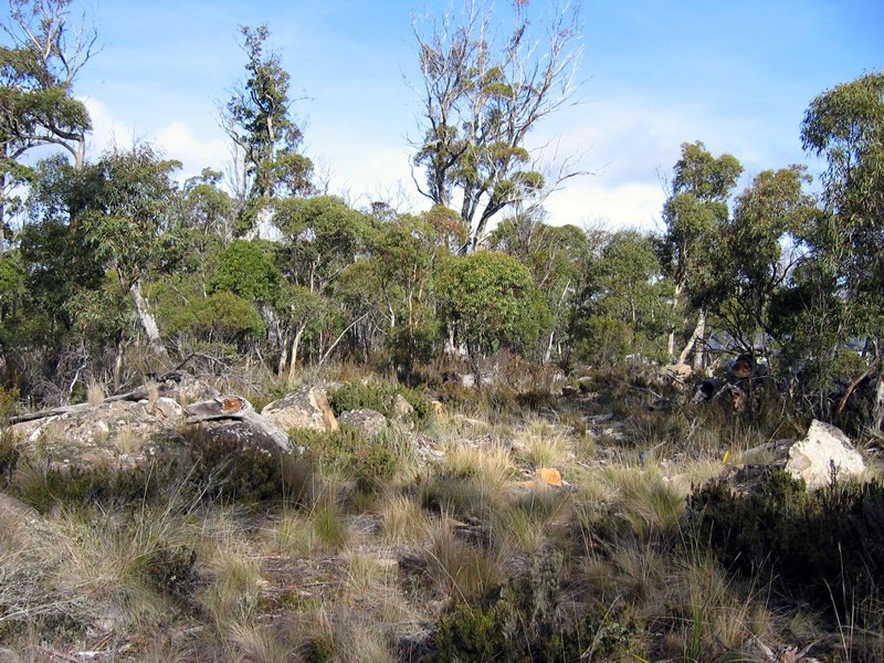 8 Trout Crescent, Miena TAS 7030