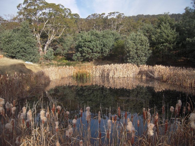 0 Sorell Street, Fingal TAS 7214