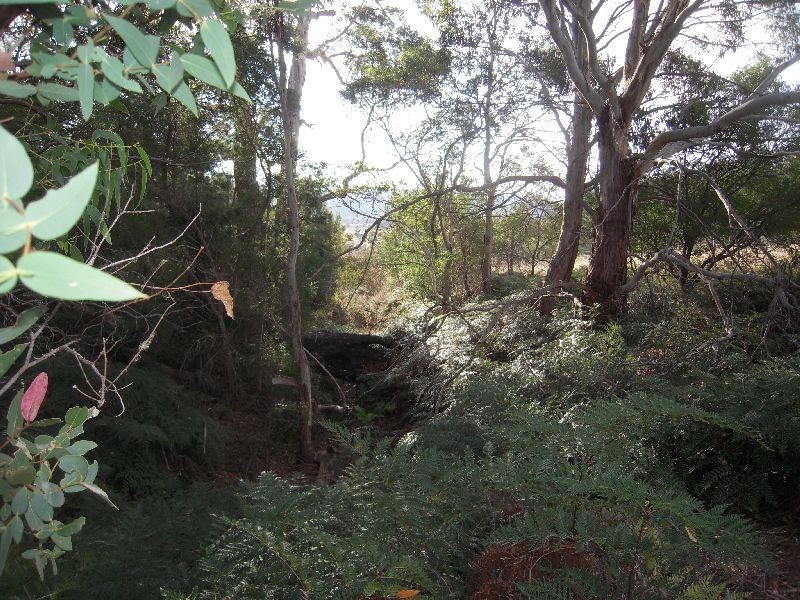 0 Sorell Street, Fingal TAS 7214