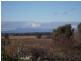 141 Main Street, Cressy TAS 7302