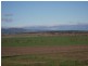 141 Main Street, Cressy TAS 7302