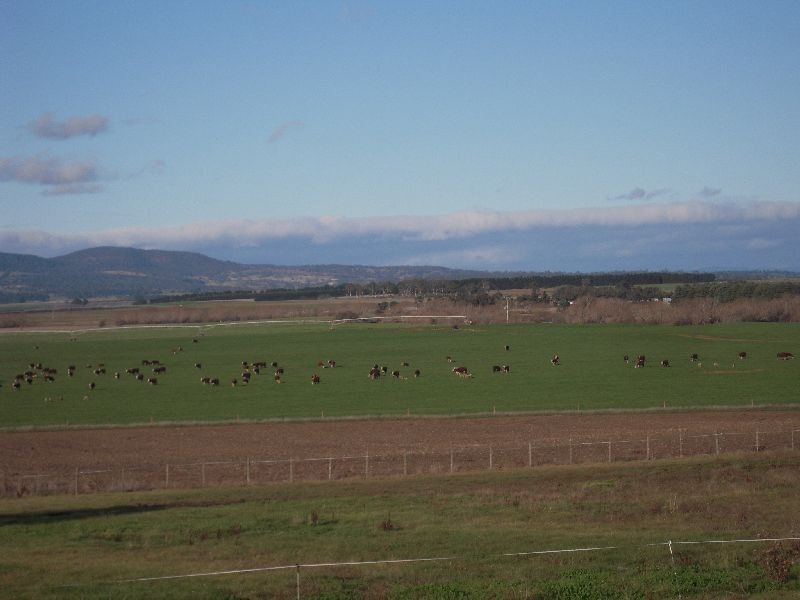 141 Main Street, Cressy TAS 7302