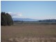 674 Cressy Rd, Longford TAS 7301