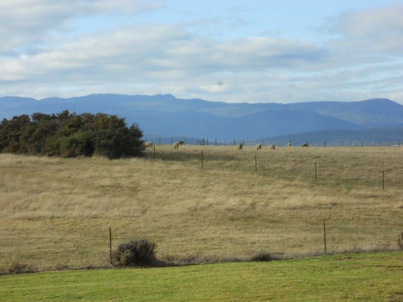 11 Saddler’s Court, Evandale TAS 7212