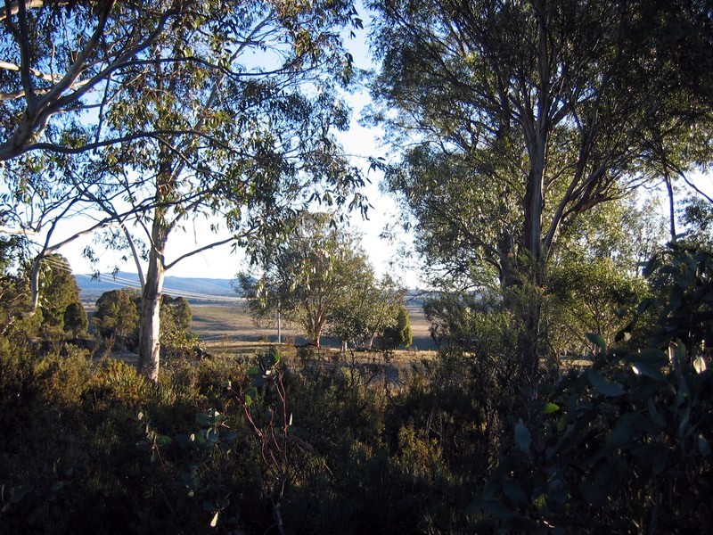 12 Bronte Estate Road, Bronte Park TAS 7140