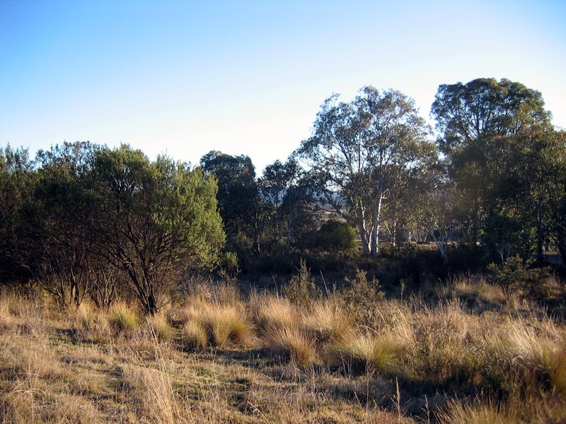 12 Bronte Estate Road, Bronte Park TAS 7140