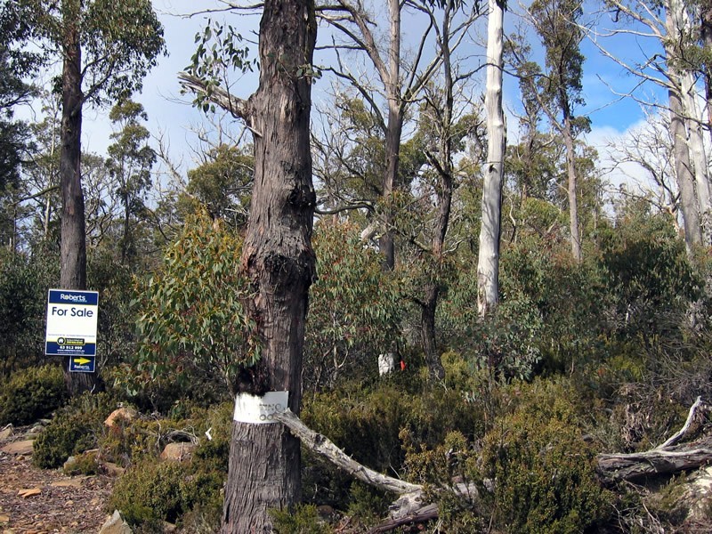 28 Watkins Road, Tods Corner TAS 7030