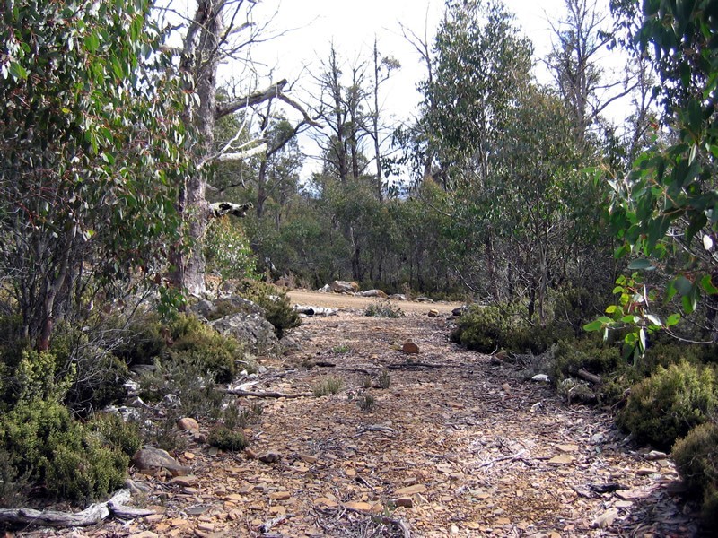 28 Watkins Road, Tods Corner TAS 7030