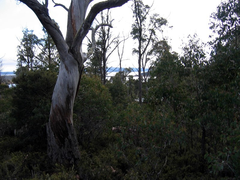 28 Watkins Road, Tods Corner TAS 7030