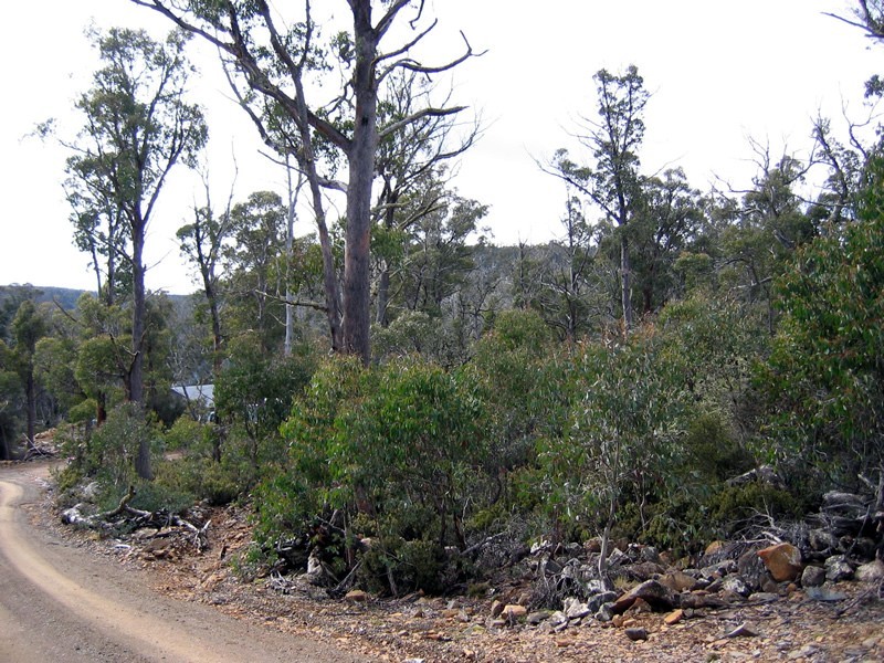 28 Watkins Road, Tods Corner TAS 7030