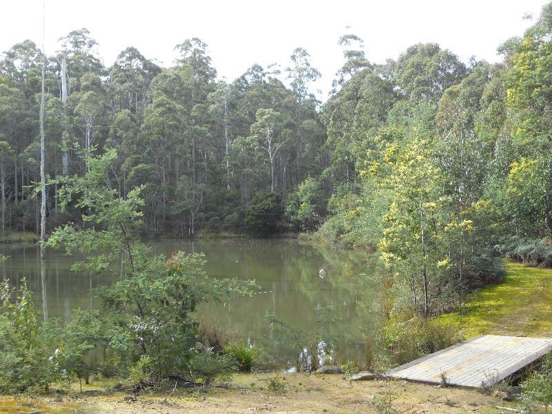 231 Myrtle Creek Road, Liffey TAS 7301
