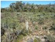 325 Barren Plains Road, Miena TAS 7030