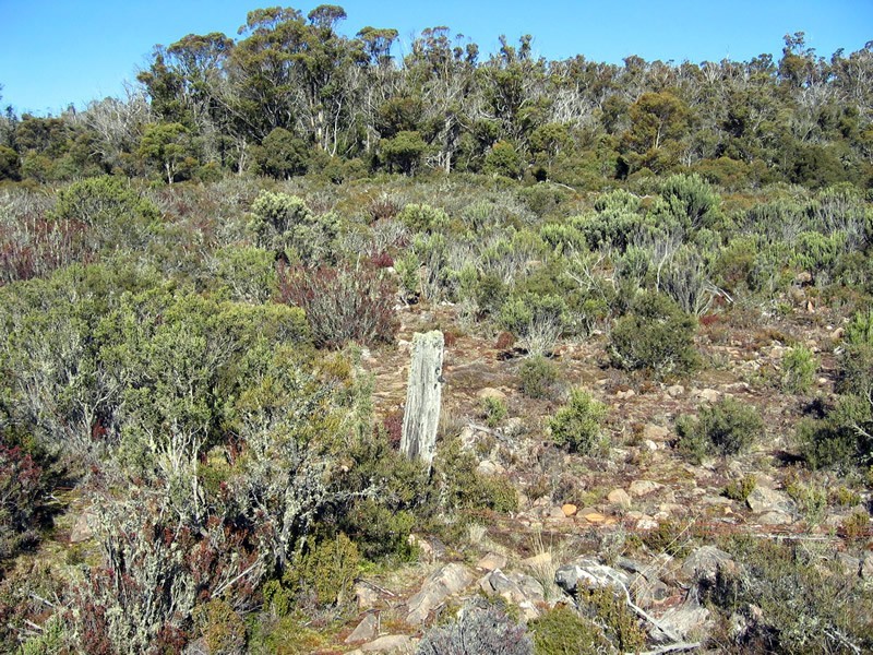 325 Barren Plains Road, Miena TAS 7030