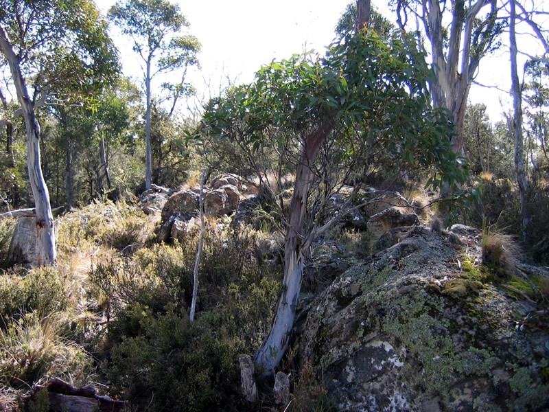 33 Jones Road, Miena TAS 7030