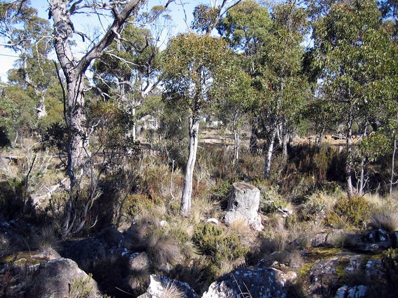 33 Jones Road, Miena TAS 7030