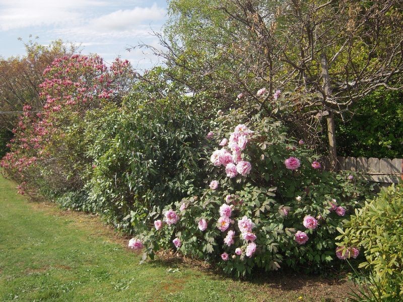 115 King Street, Westbury TAS 7303