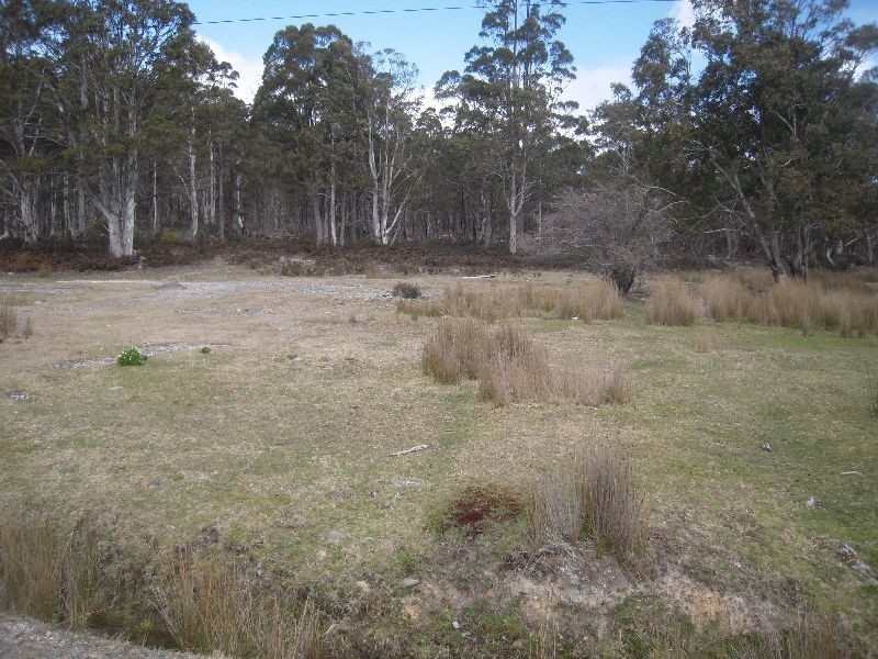 20 Nevin Street, Rossarden TAS 7213