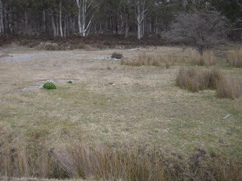 20 Nevin Street, Rossarden TAS 7213