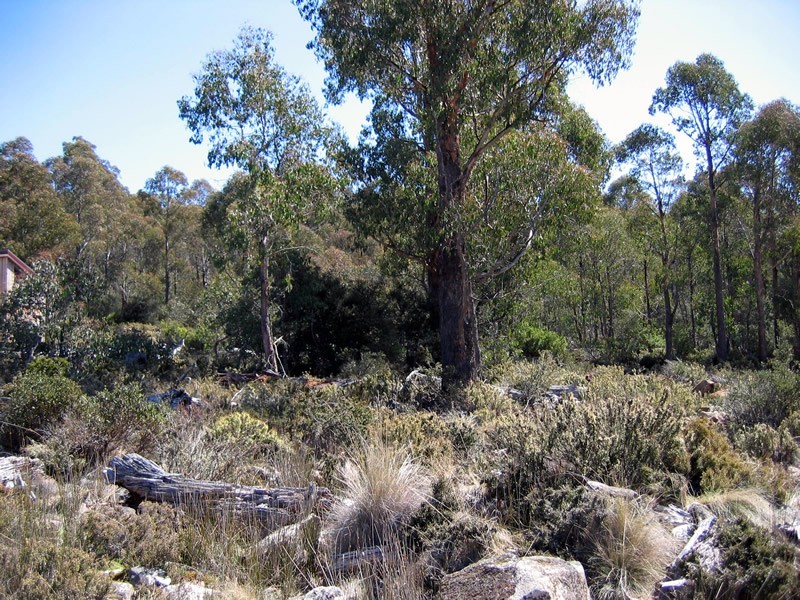 7 Wilburville Road, Arthurs Lake TAS 7030