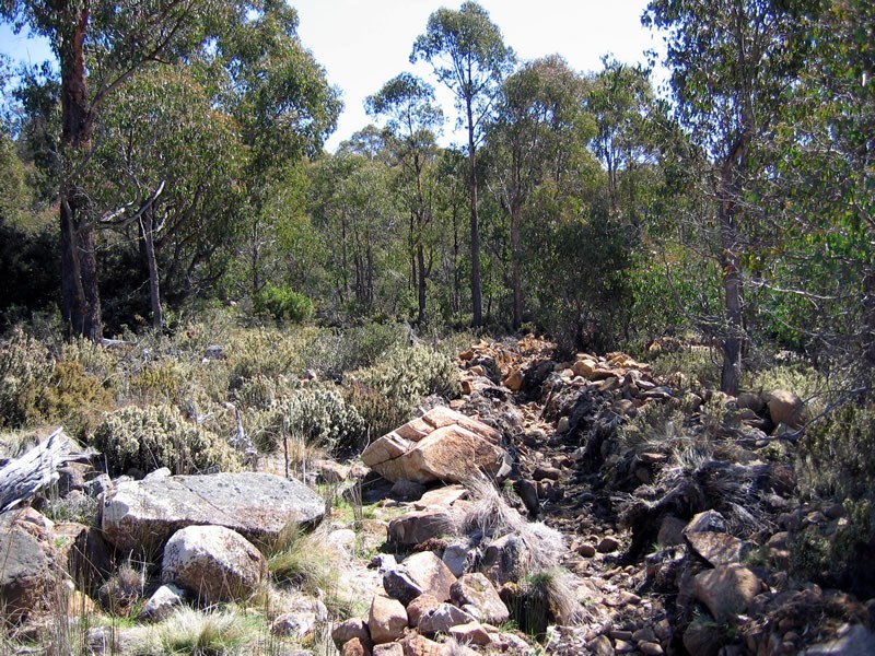 7 Wilburville Road, Arthurs Lake TAS 7030