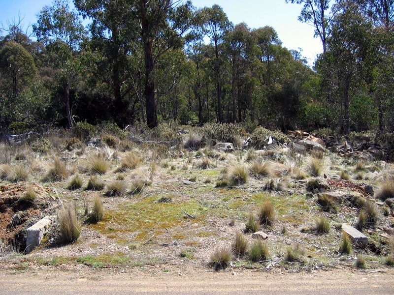 7 Wilburville Road, Arthurs Lake TAS 7030