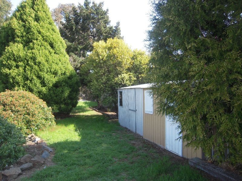 8 Waterloo Street, Westbury TAS 7303