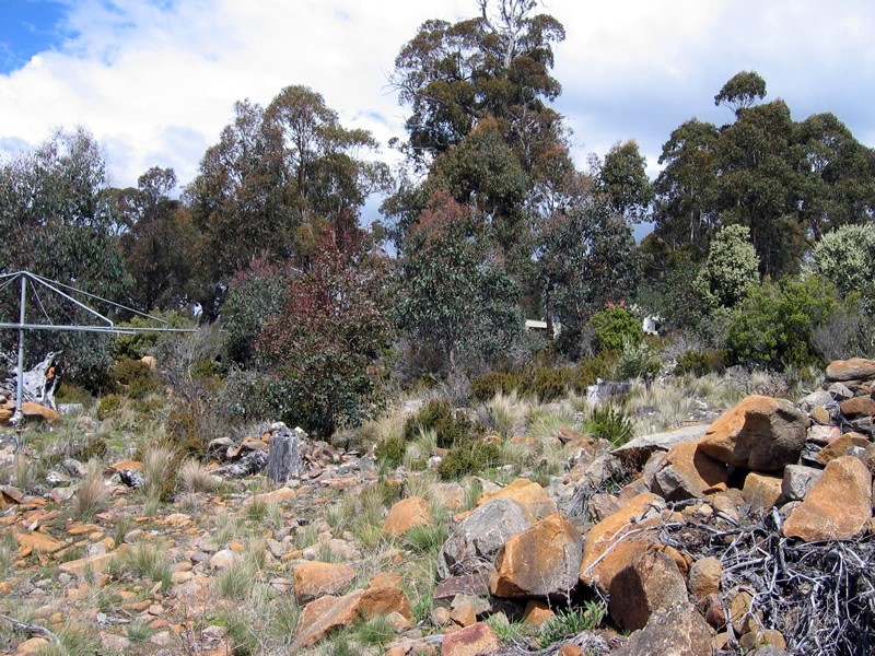 25 Arthurs Lake Road, Arthurs Lake TAS 7030