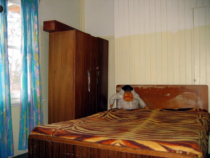 25 Arthurs Lake Road, Arthurs Lake TAS 7030