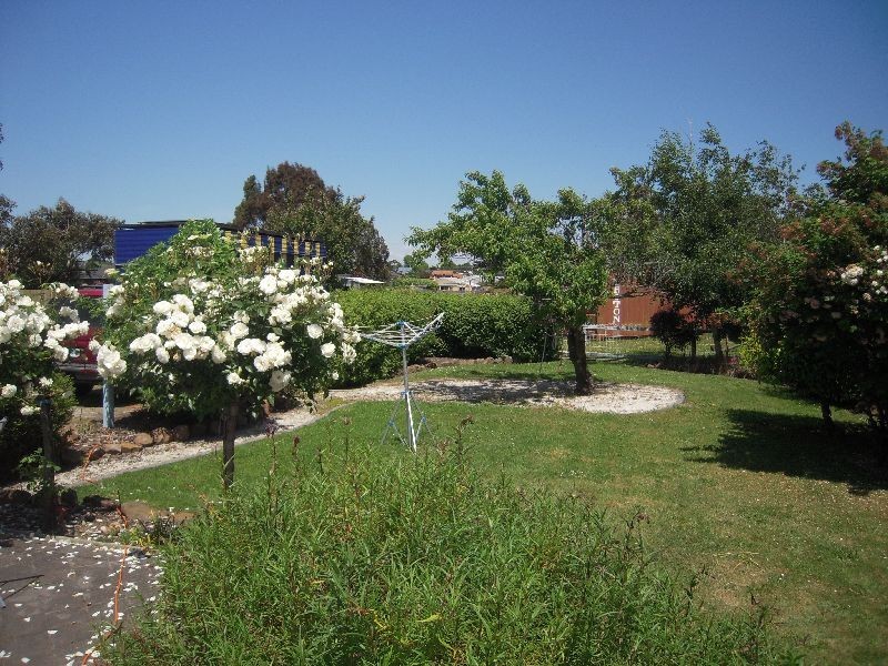 19 Malcombe Street, Longford TAS 7301