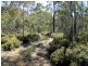 Lot 1, 2, 3, 4 Arthurs Lake Road, Arthurs Lake TAS 7030