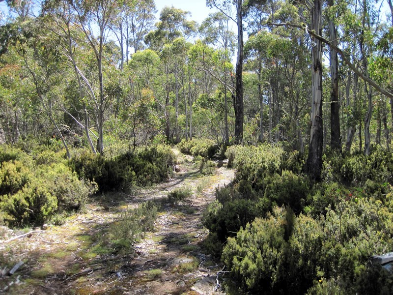 Lot 1, 2, 3, 4 Arthurs Lake Road, Arthurs Lake TAS 7030