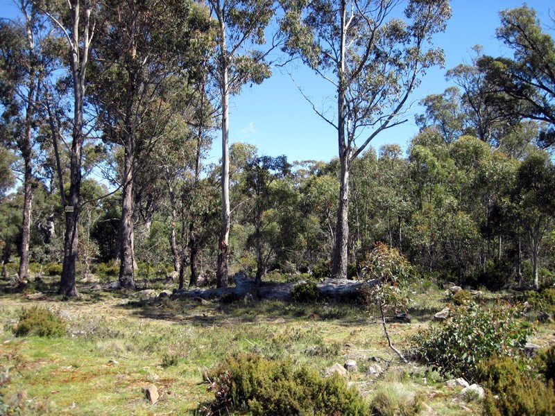 Lot 1, 2, 3, 4 Arthurs Lake Road, Arthurs Lake TAS 7030