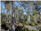 Lot 1, 2, 3, 4 Arthurs Lake Road, Arthurs Lake TAS 7030