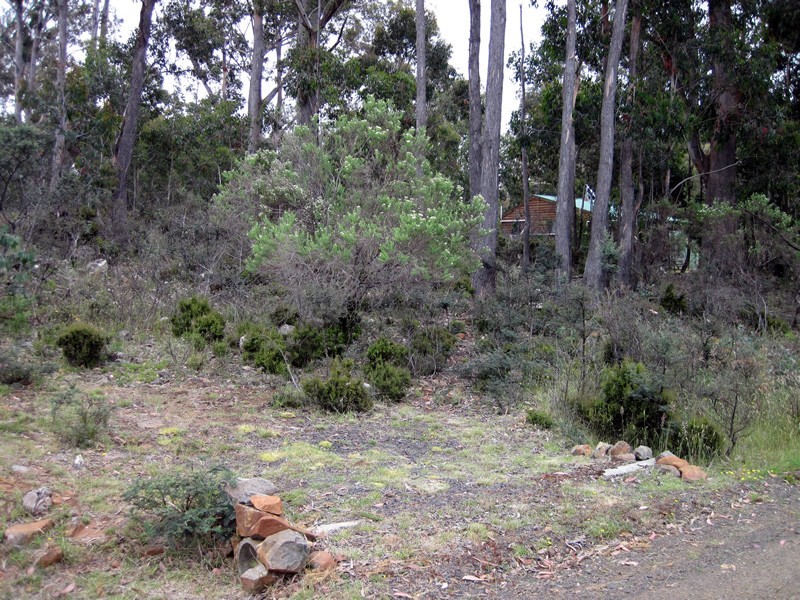 52 Laycock Drive, Lake Crescent TAS 7120