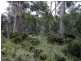 52 Laycock Drive, Lake Crescent TAS 7120