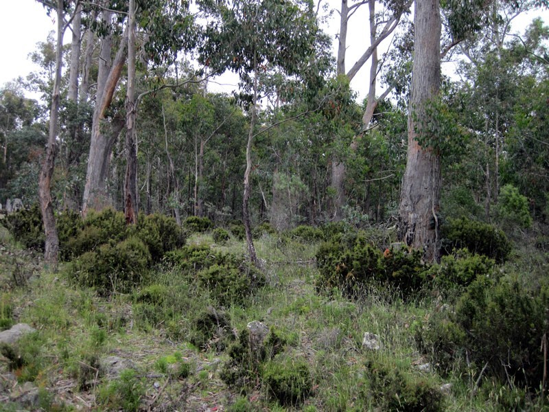 52 Laycock Drive, Lake Crescent TAS 7120