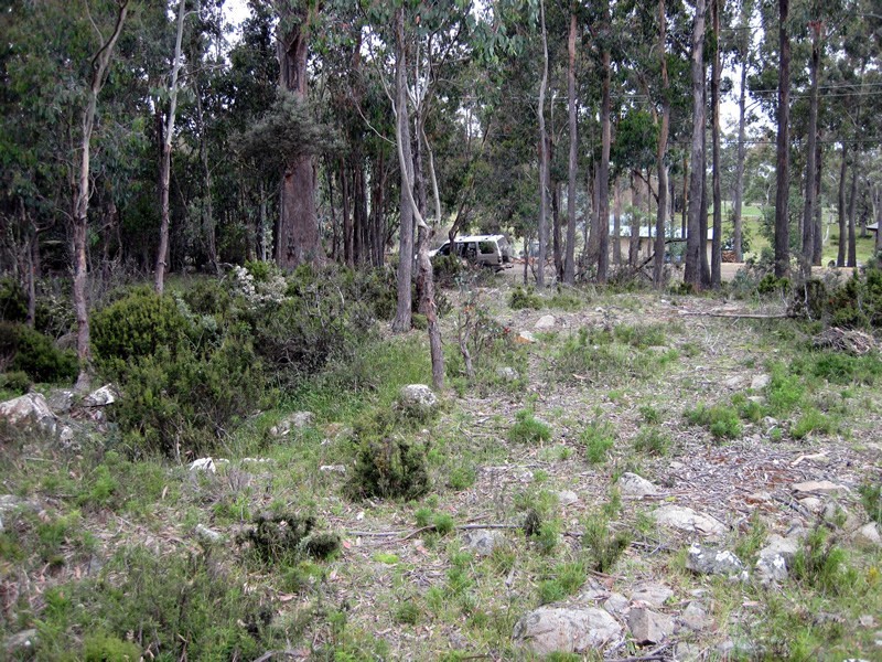 52 Laycock Drive, Lake Crescent TAS 7120