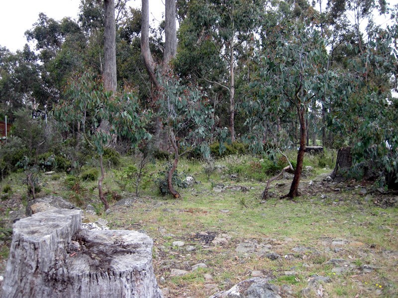 52 Laycock Drive, Lake Crescent TAS 7120