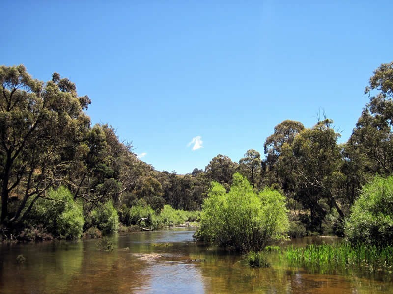 (Lot 2) 2665 Waddamana Road, Waddamana TAS 7030