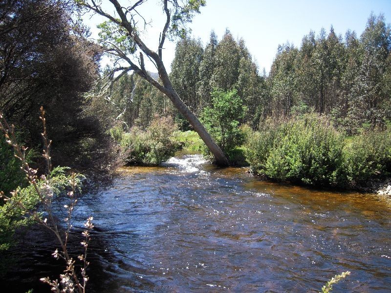 1688 Upper Esk Road, Upper Esk TAS 7214