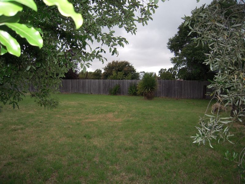 19 Murfett Street, Cressy TAS 7302