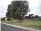 19 Murfett Street, Cressy TAS 7302
