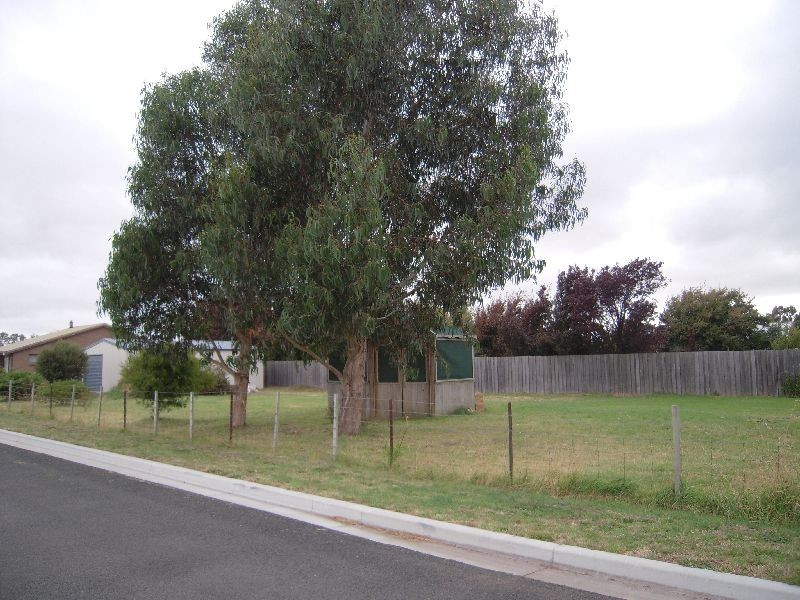 19 Murfett Street, Cressy TAS 7302