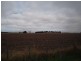 19 Murfett Street, Cressy TAS 7302