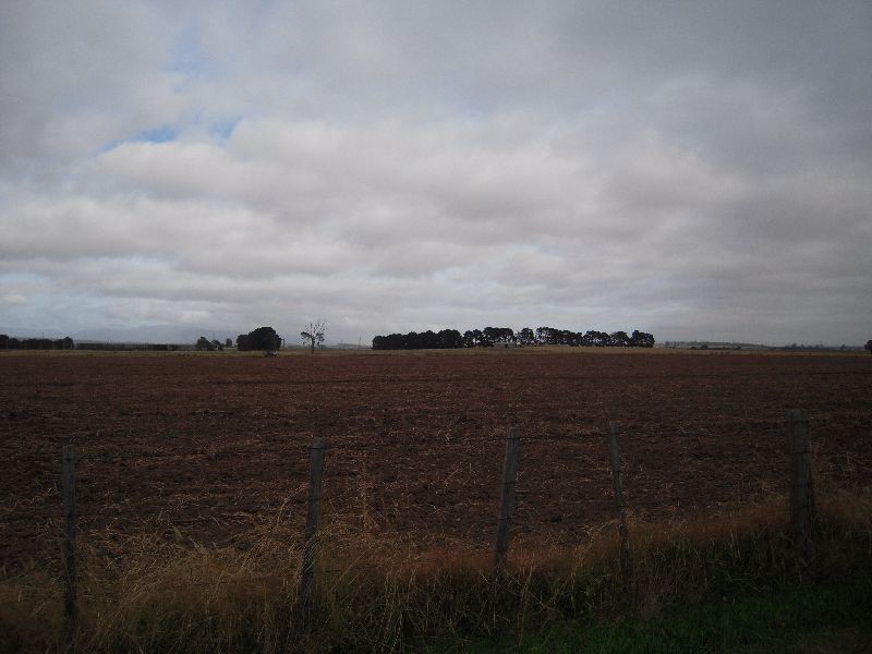 19 Murfett Street, Cressy TAS 7302