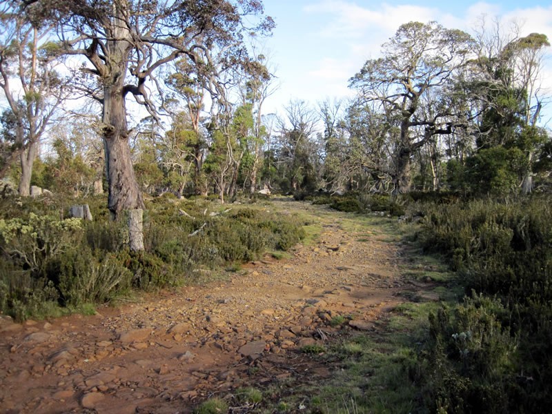 149 Barren Plains Road, Miena TAS 7030